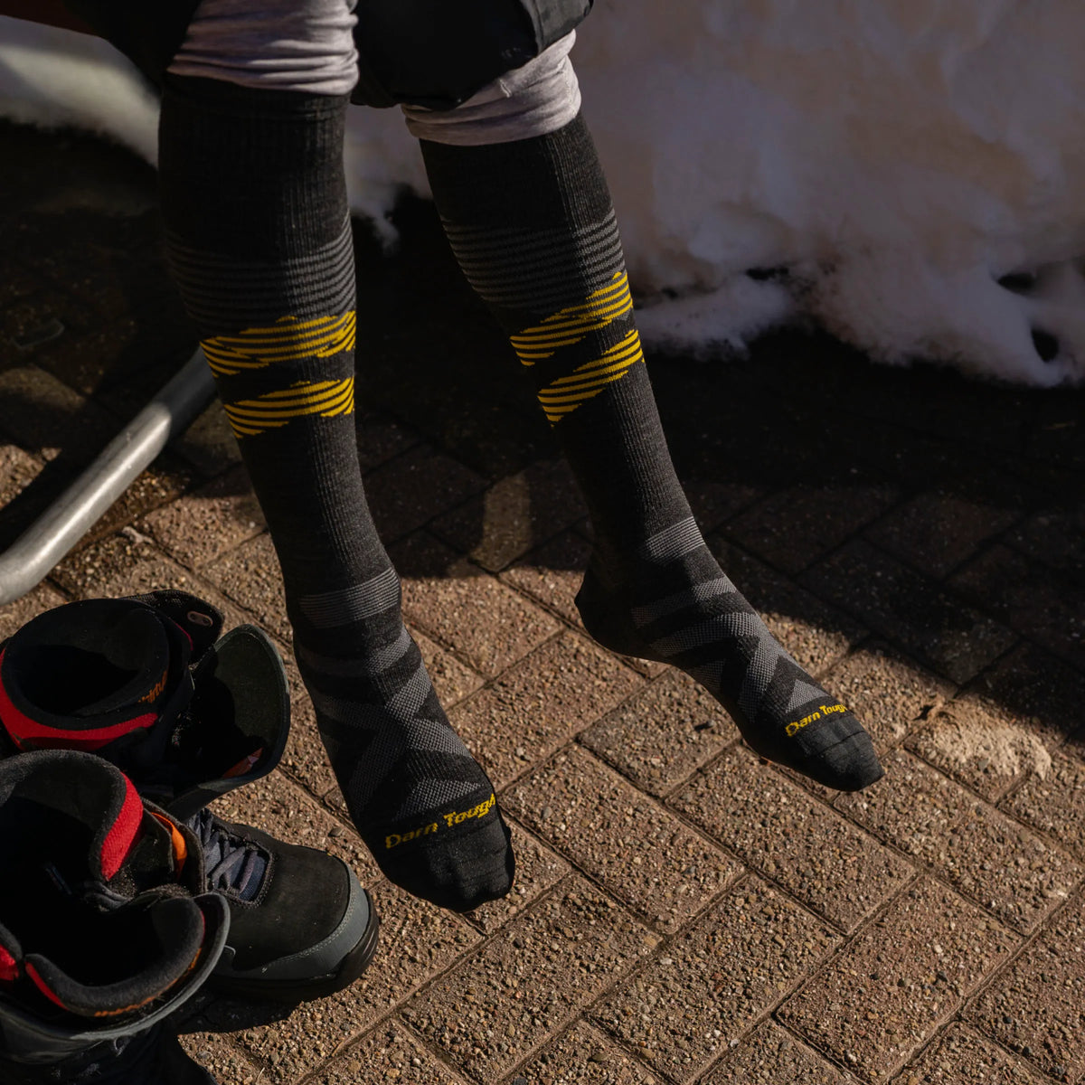 Carbon/Forest