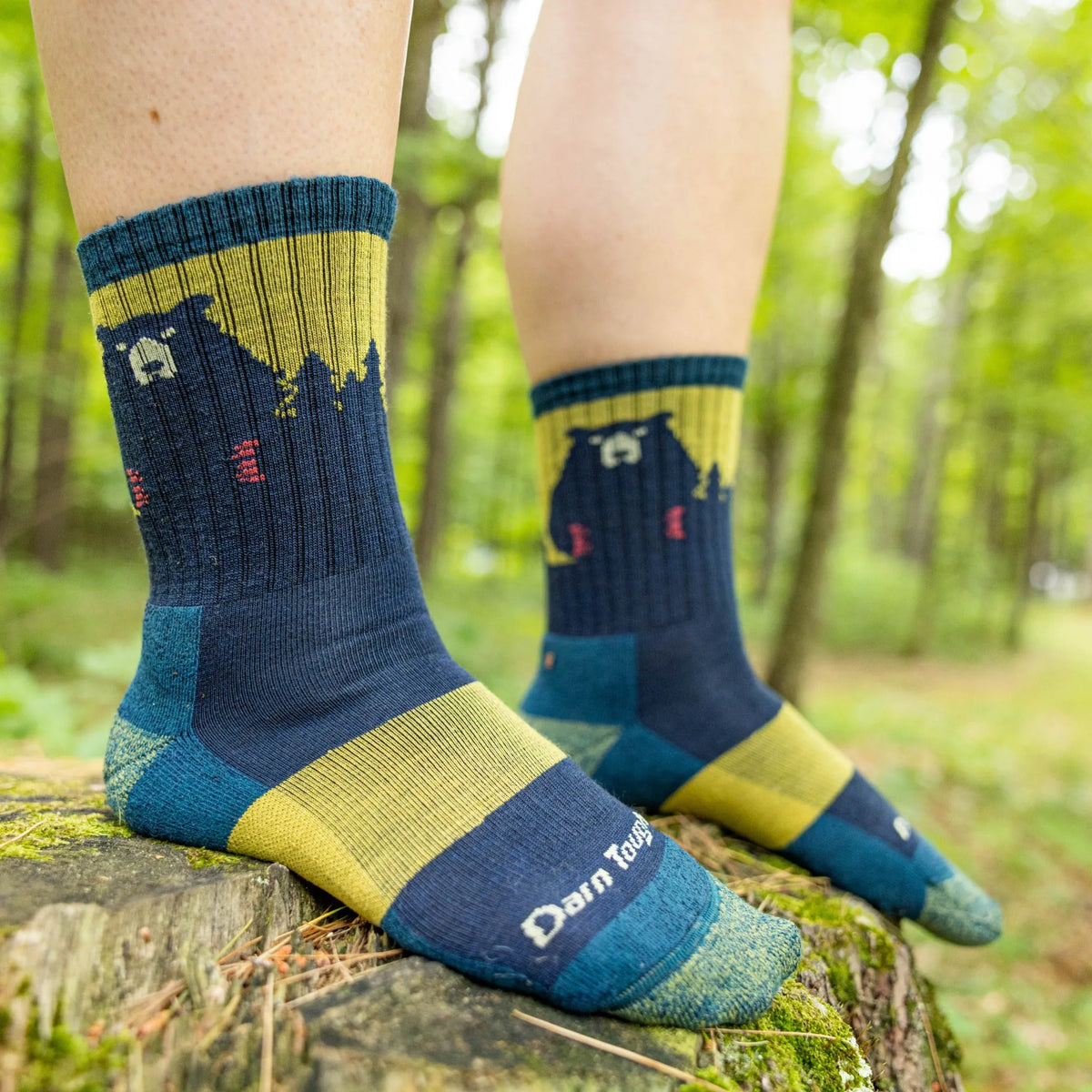 Moss/Dark Teal