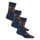 Oak Denim
