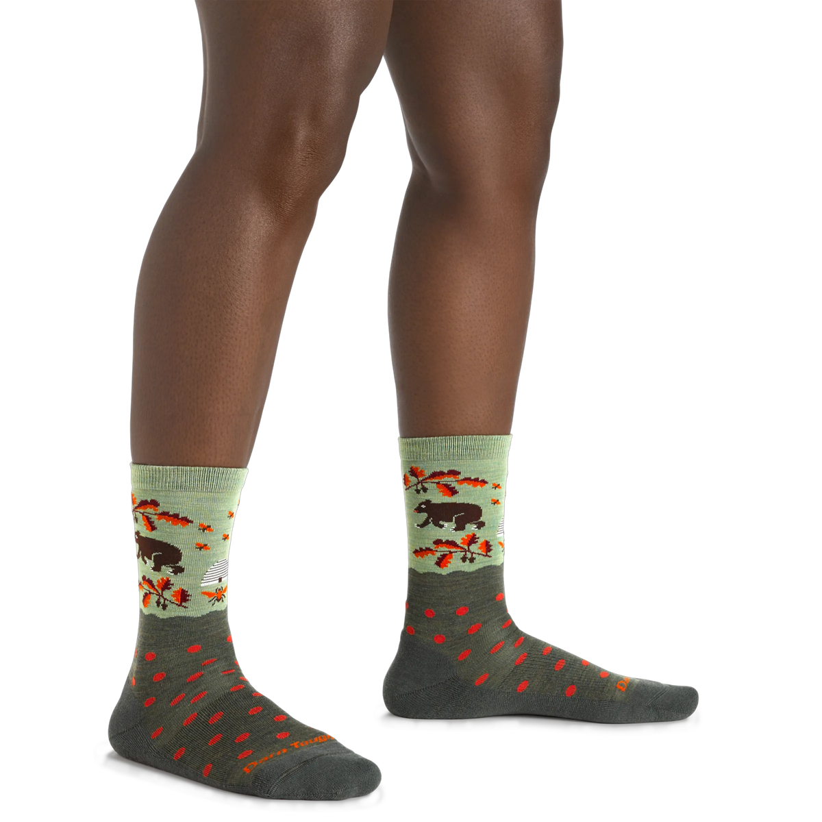 Forest/Hedgehog Moss/Dark Teal