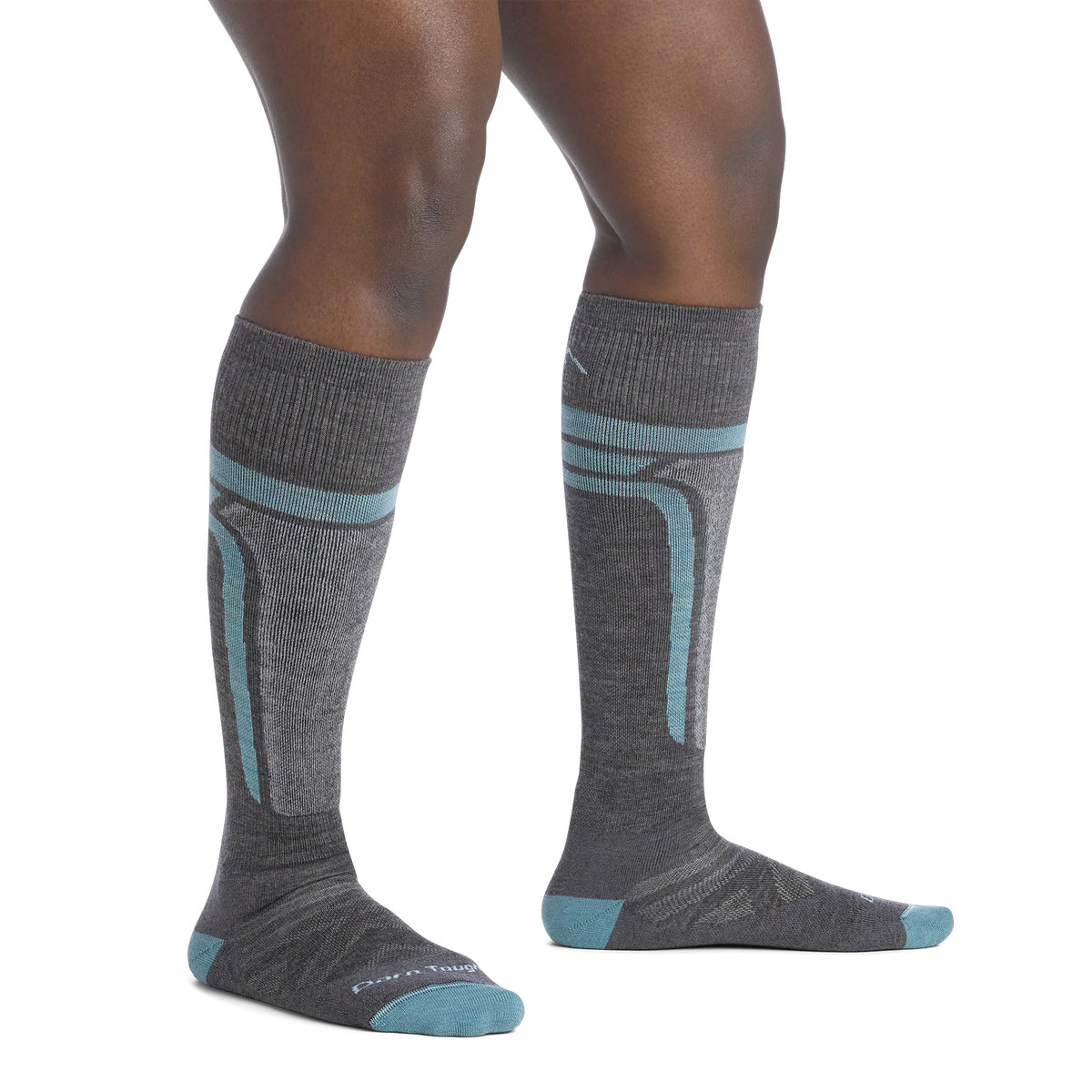 Gray/Bluebird